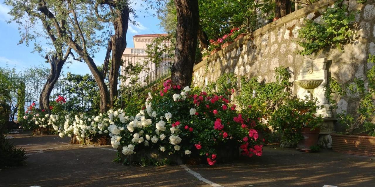 Villa L'Ulivina Półwysep Sorrentyński Zewnętrze zdjęcie